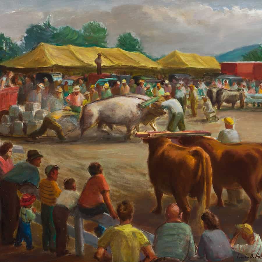 Ox Pull, Hartland Fair, c. 1945